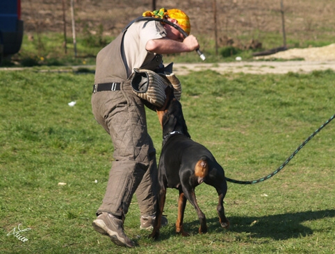 Sant Kreal Harisma - training 4. 4. 2007